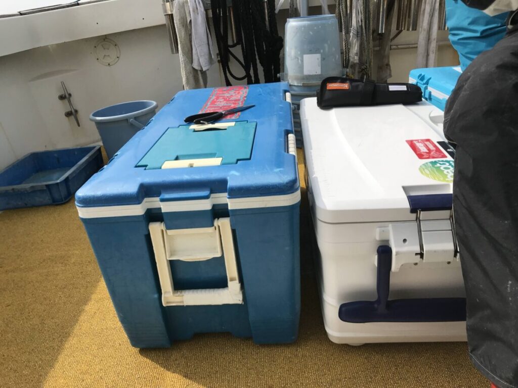 大型クーラーボックス