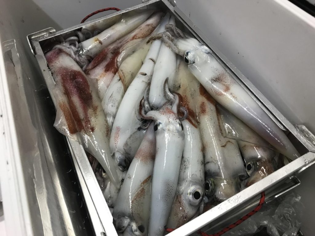 ケンサキの型は良かった
