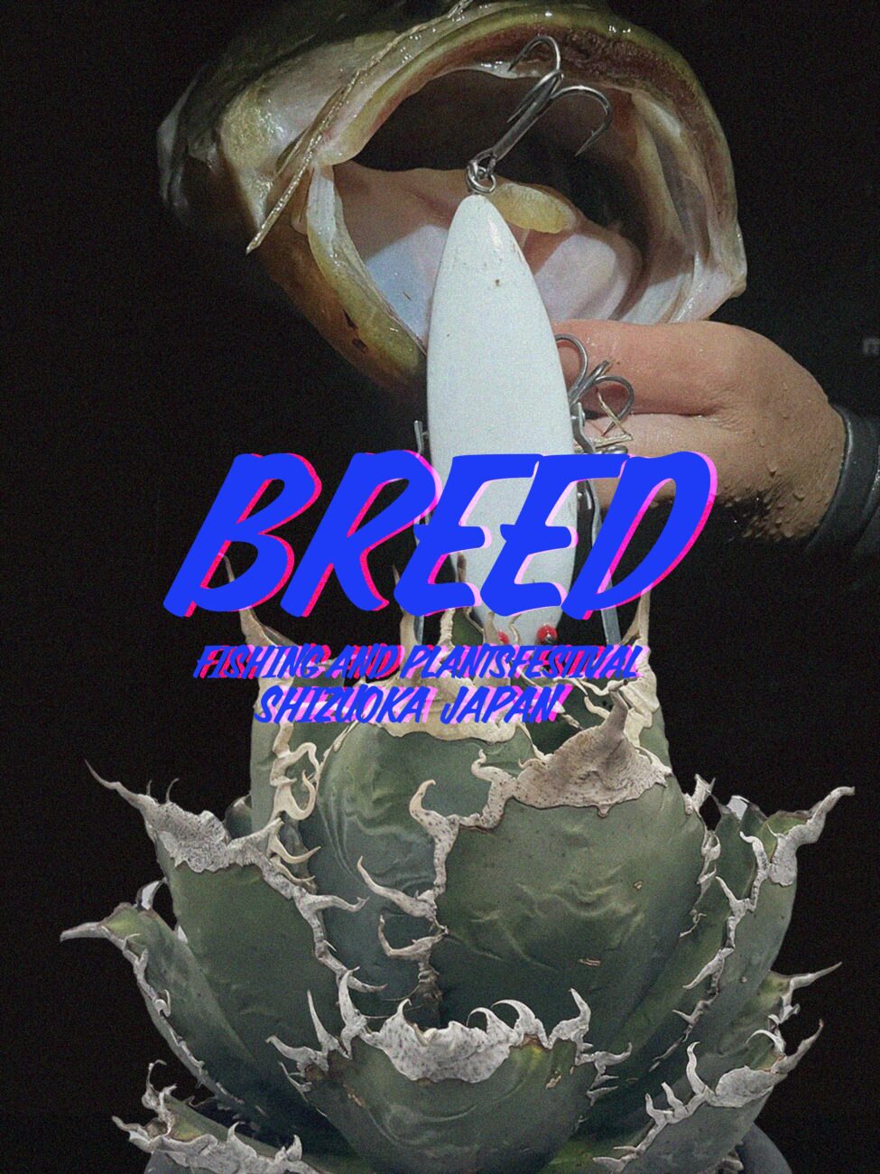 BREED 2024