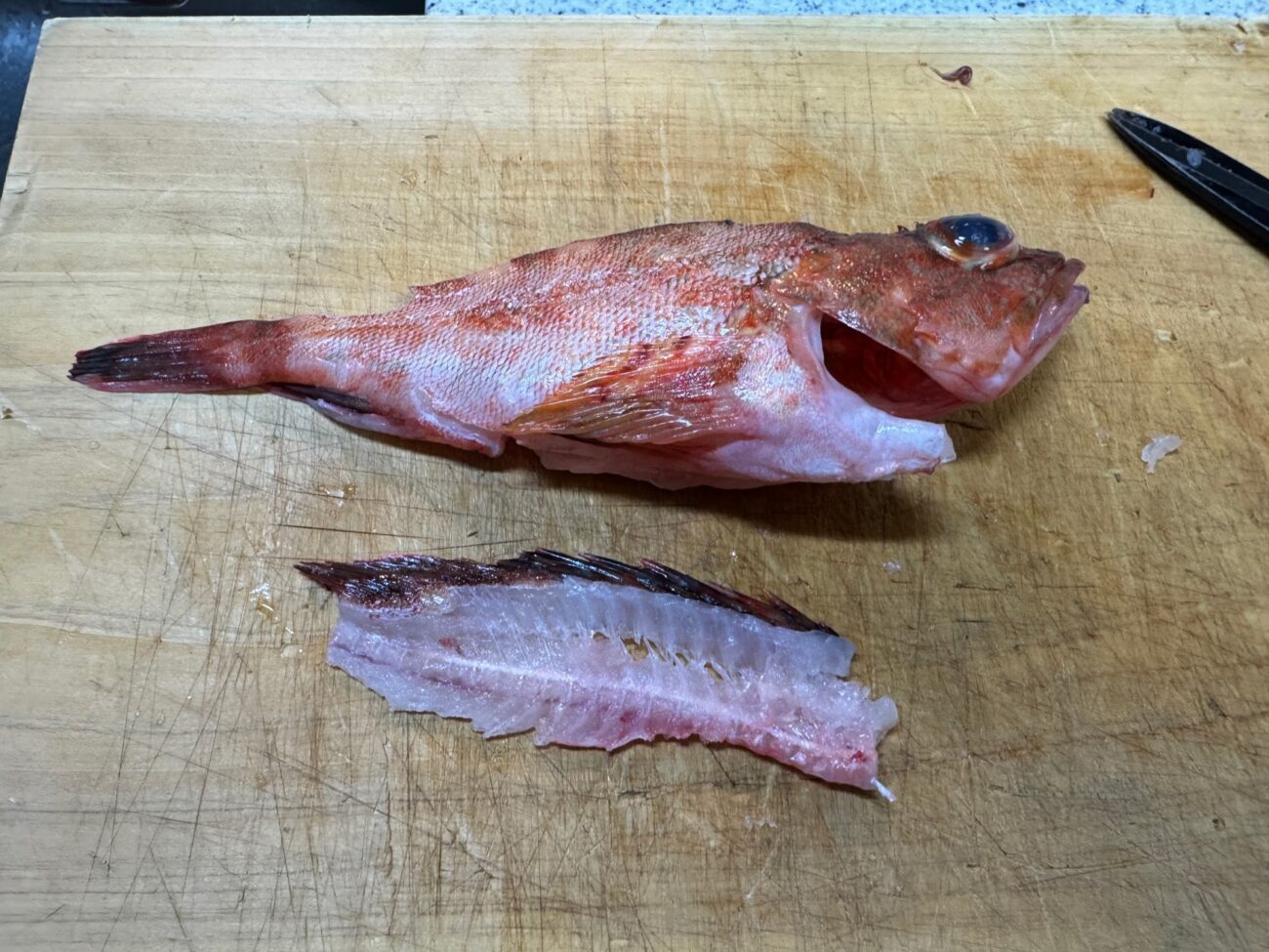 中骨を外してしまう