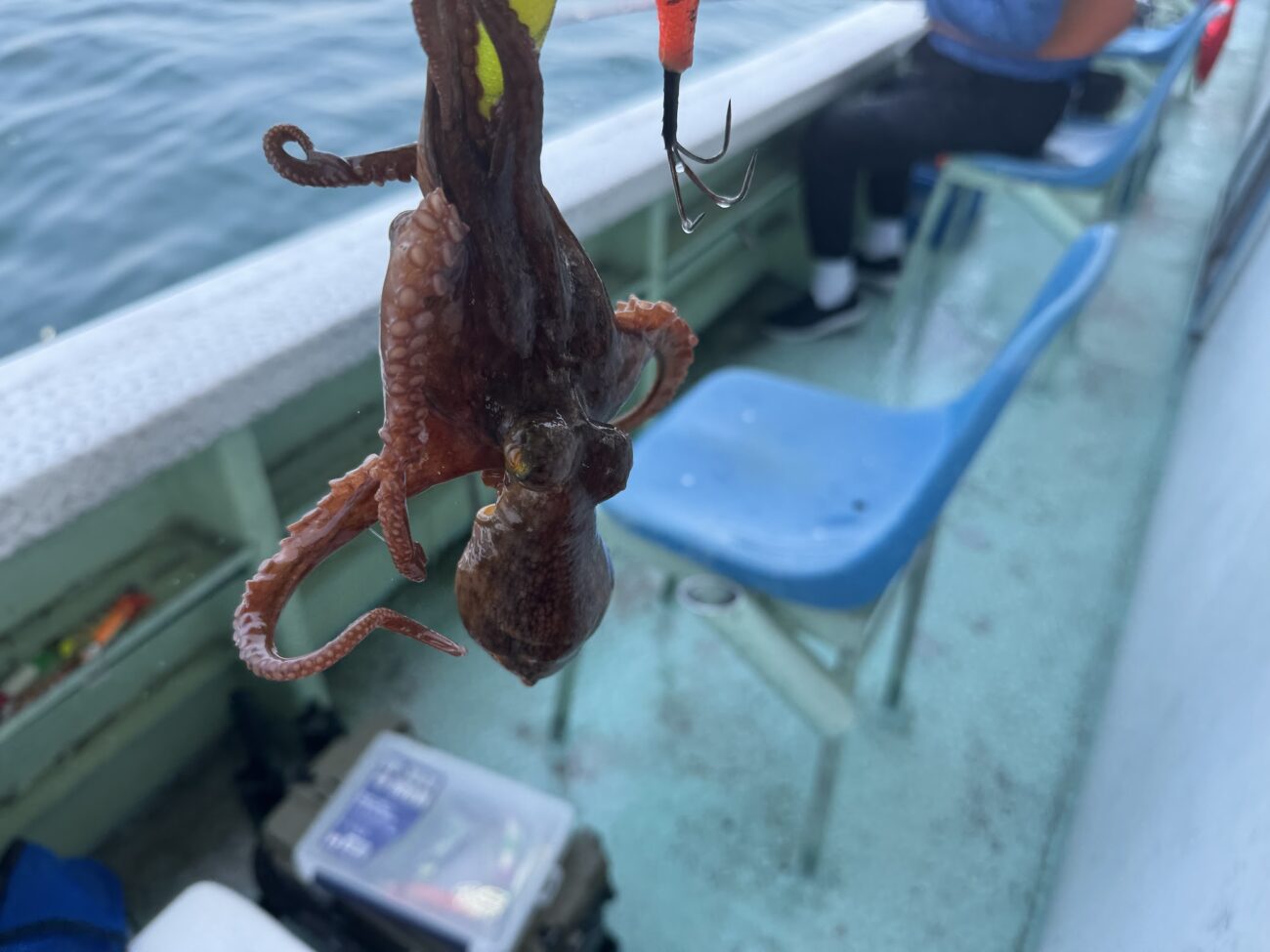 拾い釣り